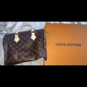 Louis Vuitton Handbag